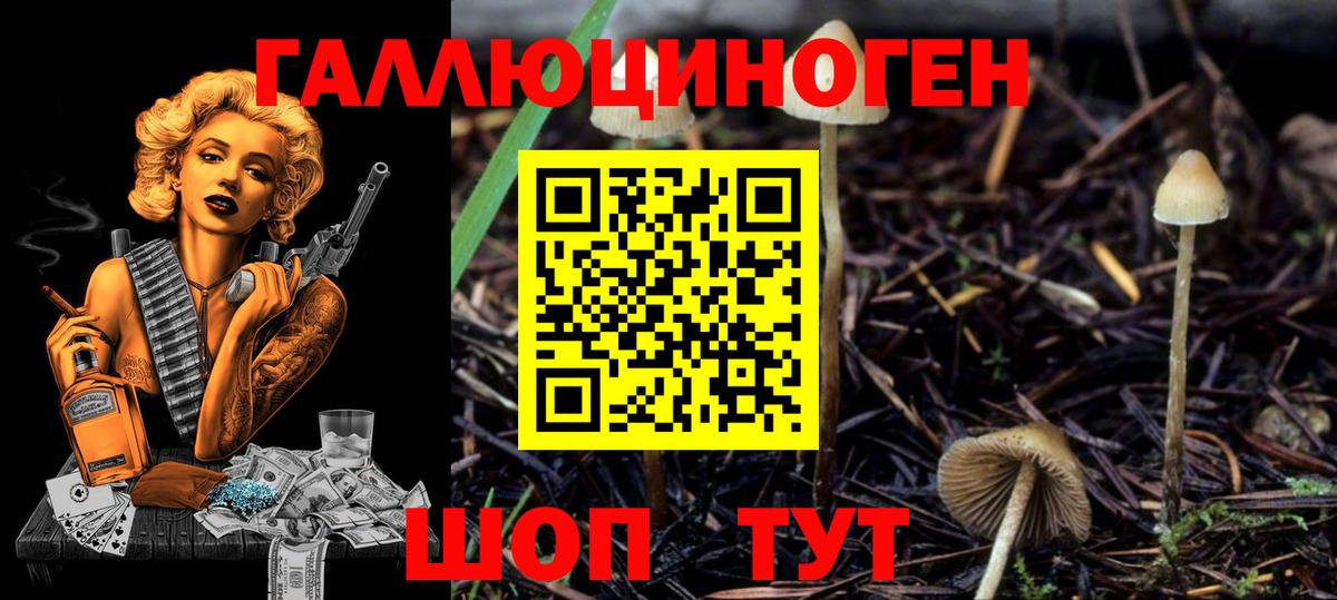 Галлюциногенные грибы Cubensis Нижний Новгород